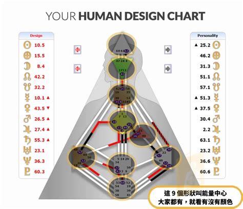 人形圖|人類圖是什麼？萬人分析師親自解釋你為什麼你需要。